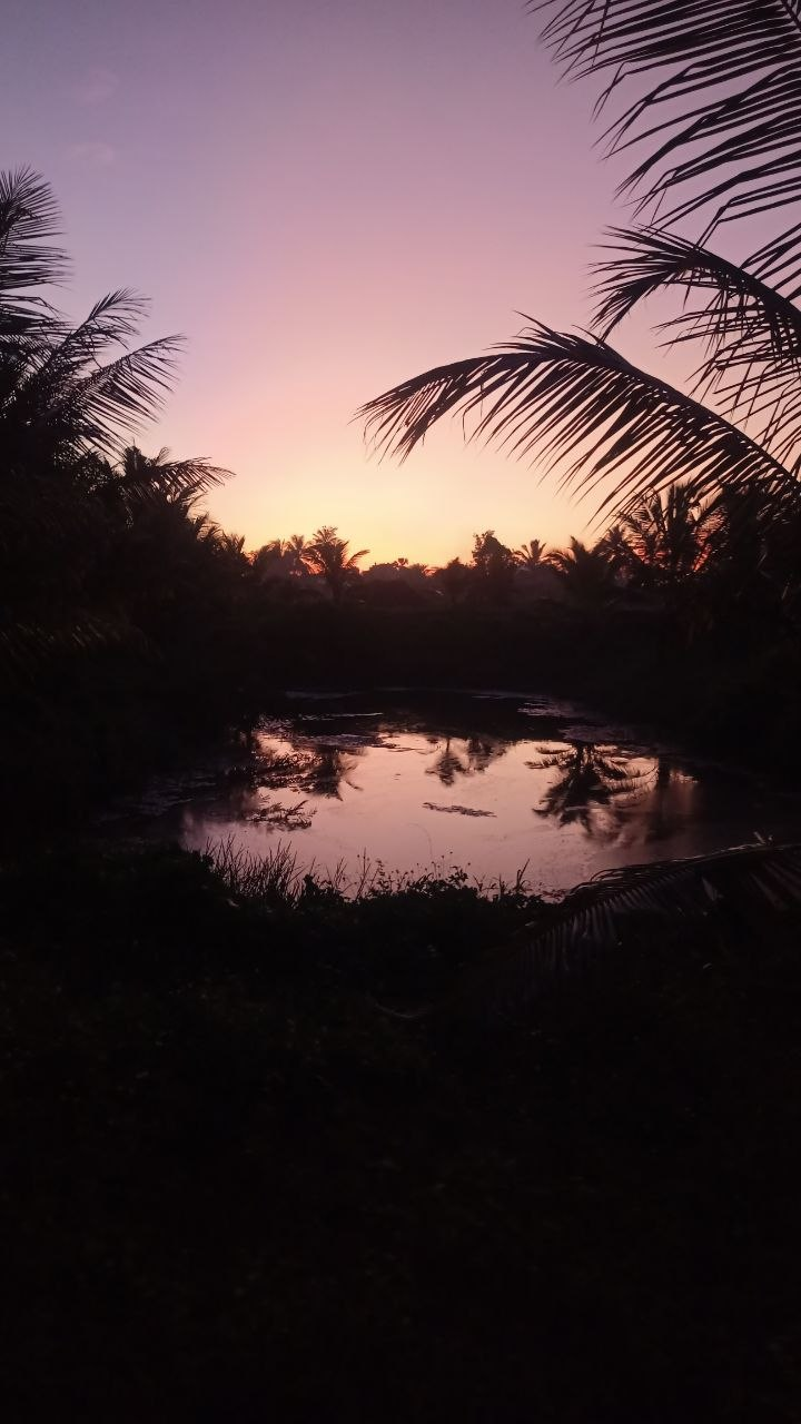 Travel Capture 3